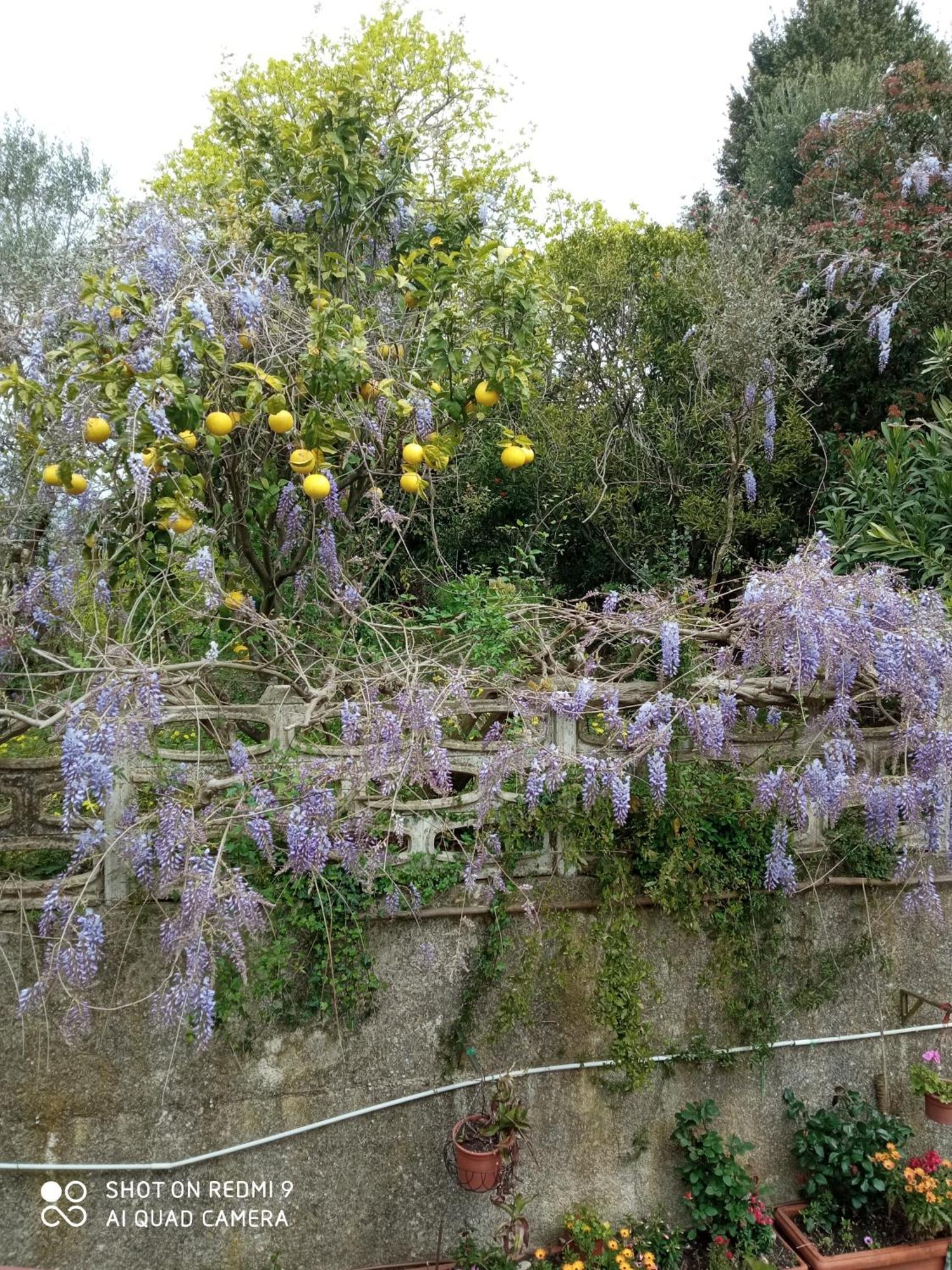 Belvedere Di Caiazzo Zewnętrze zdjęcie